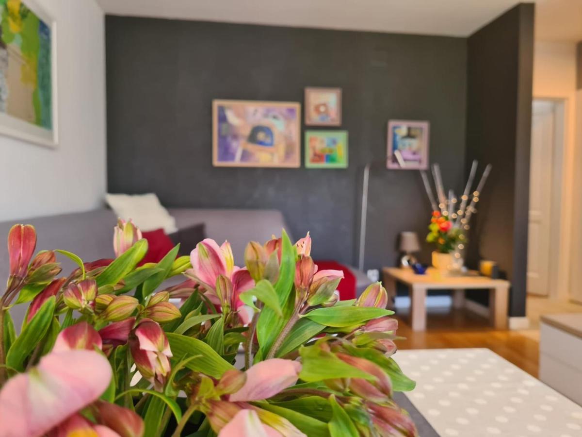 Apartment Vedrana Rovinj Buitenkant foto